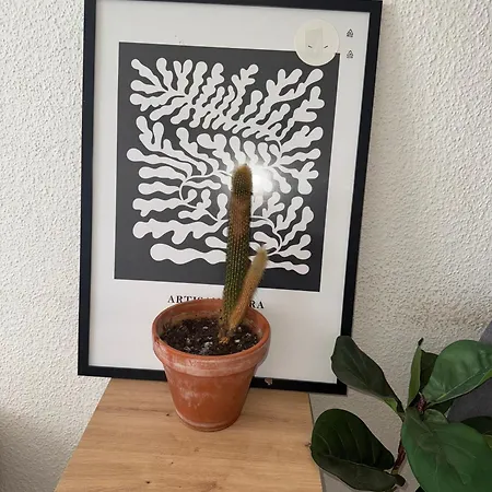 Urban Nest Prime 3br With Spacious Hall & Kitchen Lejlighed Kelkheim