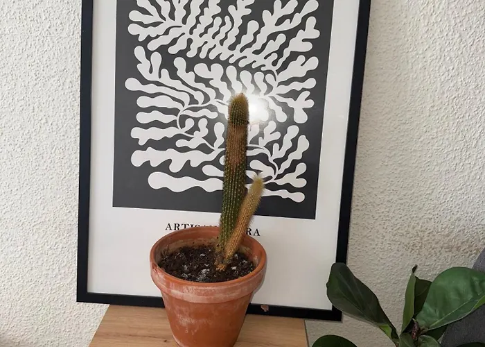 Urban Nest Prime 3br With Spacious Hall & Kitchen Apartment Kelkheim